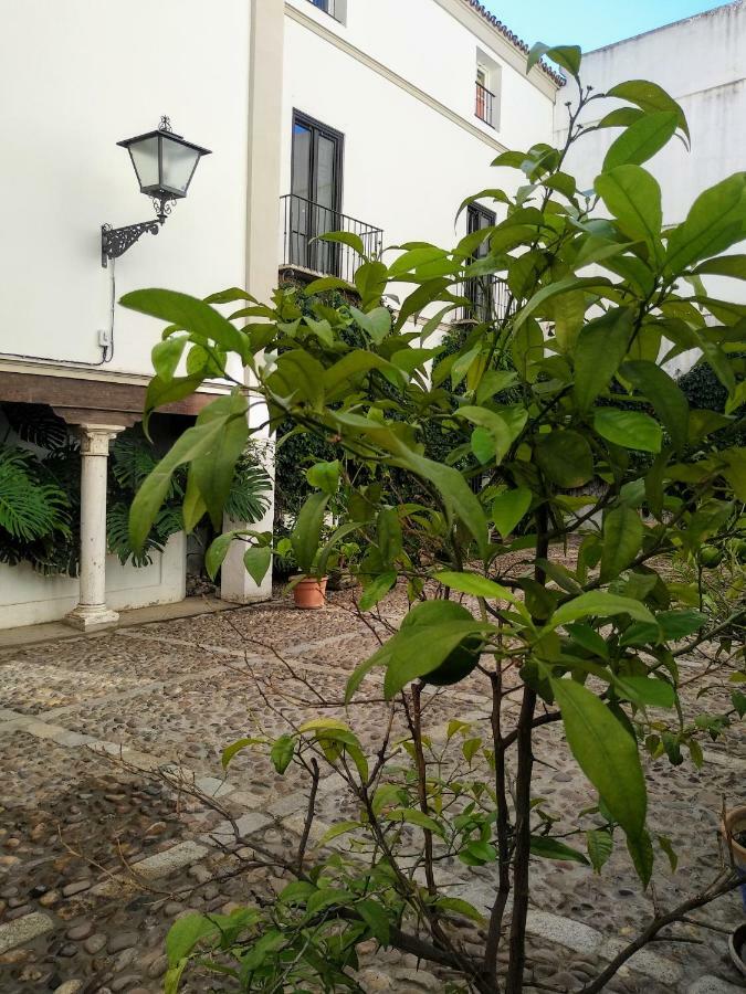 Wish Suite Juderia De Sevilla Екстериор снимка